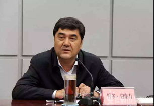 打虎不止步，国家铁路局局长费东斌被查